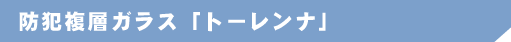 hƃKX@g[i