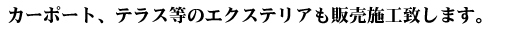 J[|[gAeXGNXeA̔{H